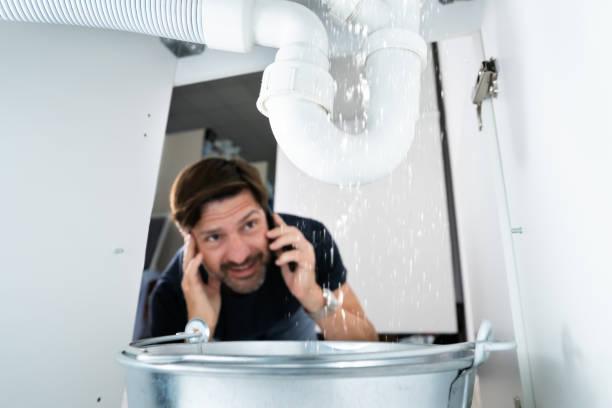 Best Plumbing Services Near Me  in Carnegie, PA